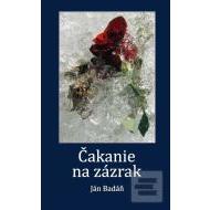 Čakanie na zázrak - cena, porovnanie