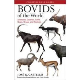 Bovids of the World