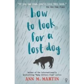 How to look for a lost dog