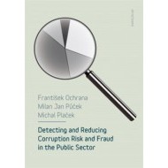 Detecting and reducing corruption risk and fraud in the public sector - cena, porovnanie