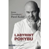 Labyrint pohybu - cena, porovnanie