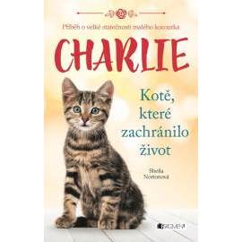 Charlie - kotě, které zachránilo život