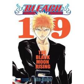 Bleach 19: Black Moon Rising