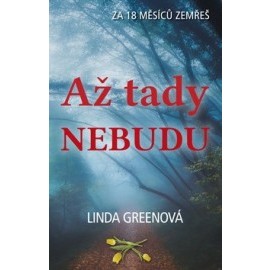 Až tady nebudu