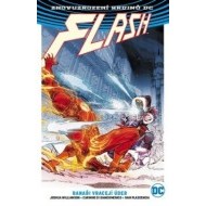 Flash 3: Ranaři vracejí úder (brož.) - cena, porovnanie