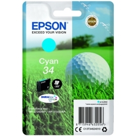 Epson C13T346240