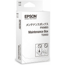 Epson C13T295000