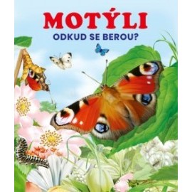 Motýli