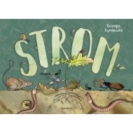 Strom - cena, porovnanie