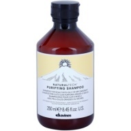 Davines Naturaltech Purifying Shampoo 250ml - cena, porovnanie