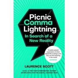 Picnic Comma Lightning - In Search of a New Reality