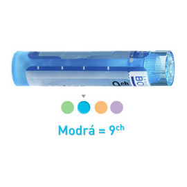 Boiron Magnesia Carbonica CH9 4g