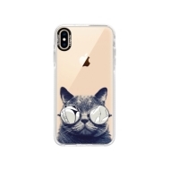 iSaprio Bumper Crazy Cat 01 Apple iPhone XS Max - cena, porovnanie