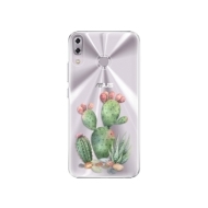 iSaprio Cacti 01 Asus ZenFone 5 ZE620KL - cena, porovnanie