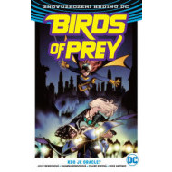 Birds of Prey 1 - Kdo je Oracle? - cena, porovnanie