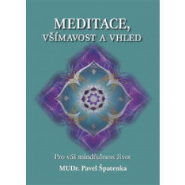 Meditace, všímavost a vhled