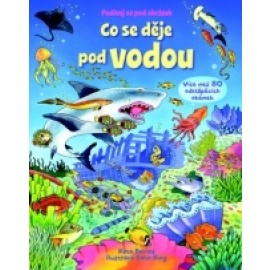 Co se děje pod vodou