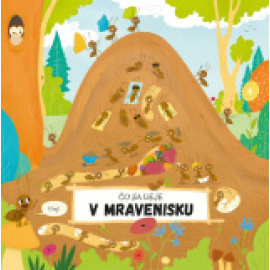 Čo sa deje v mravenisku