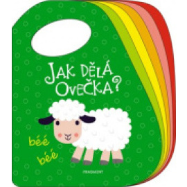 Jak dělá ovečka?