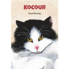 Kocour