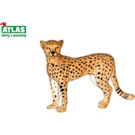 Wiky Atlas Gepard