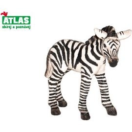 Wiky Atlas Zebra hříbě