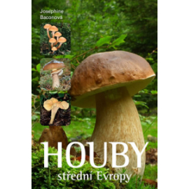 Houby střední Evropy