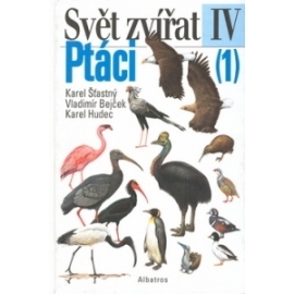 Ptáci (1)