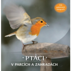 Ptáci v parcích a zahradách