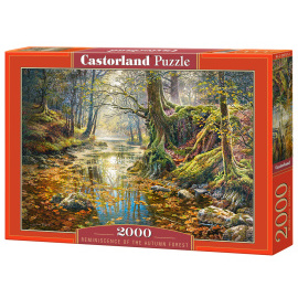 Castorland Reminiscence of the Autumn Forest 2000