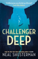 Challenger Deep - cena, porovnanie