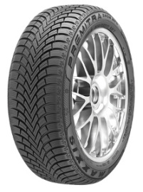 Maxxis WP6 205/55 R17 95V