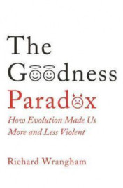 The Goodness Paradox