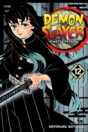 Demon Slayer Kimetsu no Yaiba 12 - cena, porovnanie