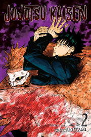 Jujutsu Kaisen 2