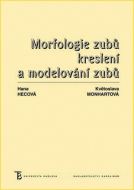 Morfologie zubů - cena, porovnanie