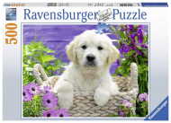 Ravensburger Chutný zlatý retriever 500 - cena, porovnanie