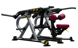 BH Fitness PL150