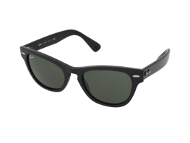 Ray Ban RB2201