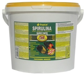 Tropical Spirulina Forte 5L