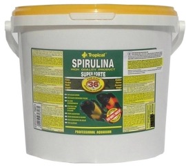 Tropical Spirulina Forte 21L