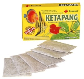 Tropical Ketapang 5g