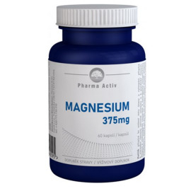 Pharma Activ Magnesium 375mg 90tbl