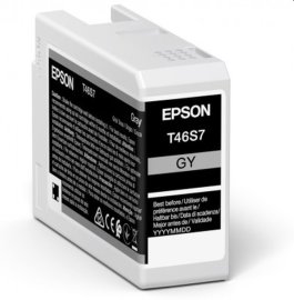 Epson C13T46S700