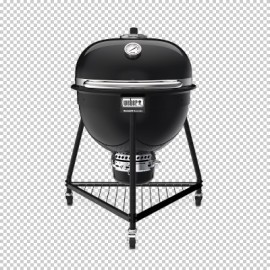 Weber Summit Kamado E6