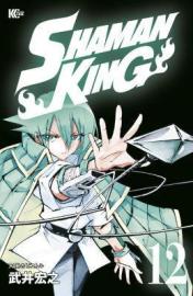 Shaman King Omnibus 7