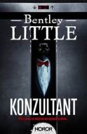 Konzultant - Little Bentley - cena, porovnanie