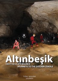 Altinbesik