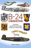 B-24 Liberator - Kamufláže bombardovacích skupin USA AF - cena, porovnanie