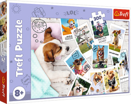 Trefl Puzzle 300 - Fotky z dovolenky